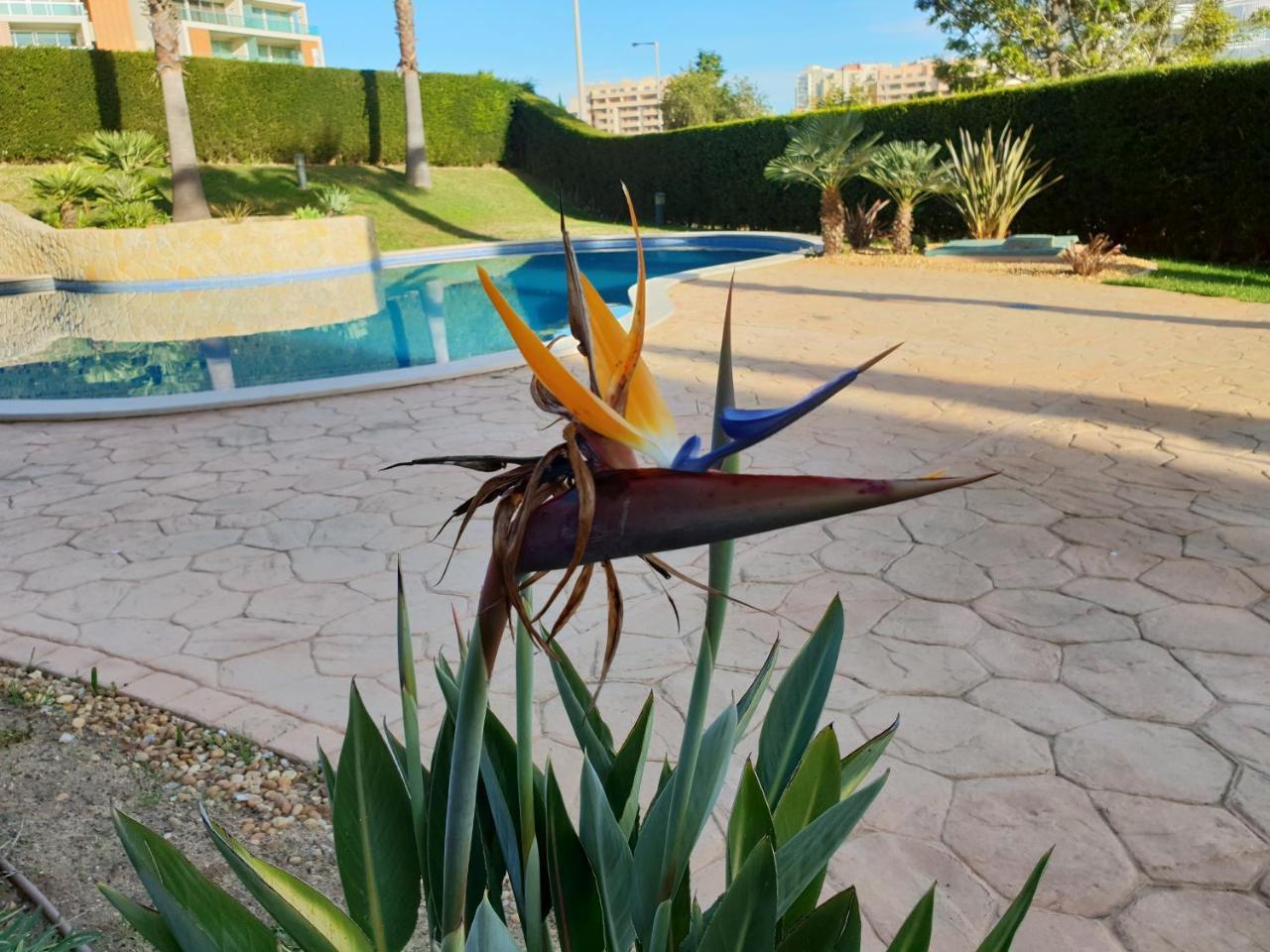 Appartamento Litoral Mar Portimão Esterno foto